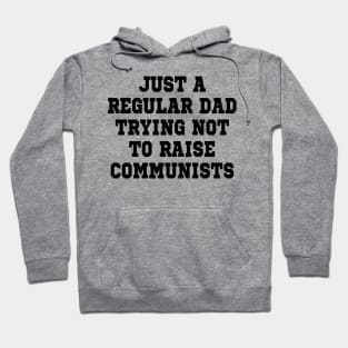 just a regular dad trying not to raise communists Hoodie